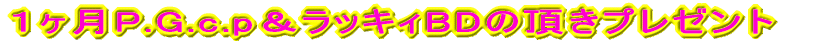 �P����P.G.c.p�����b�L�BBD�̒����v���[���g 